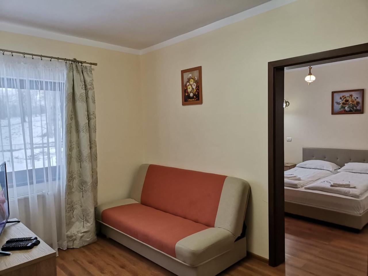 Studio cu o canapea extensibilă